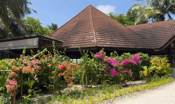 Bougainvillea überall im Club