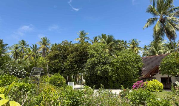 Gut gepflegter Garten