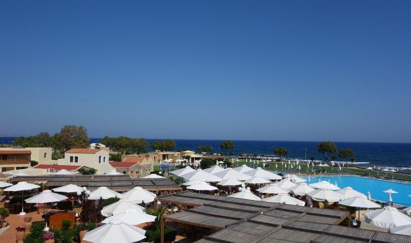 Über den Dächern und Schirmen. . .