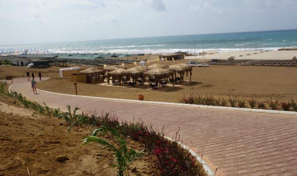 Weg zum Strand im Jacaranda