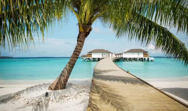 Weg zu Wasserbungalows