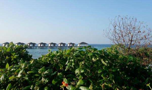 Blick auf Wasserbungalows