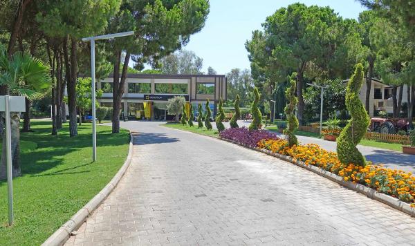 Blumenvielfalt im Club