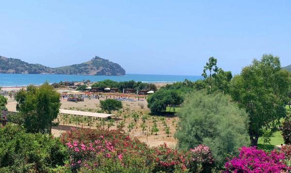 Neue Palmen werden bepflanzt