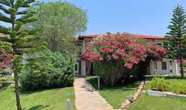 Tolle Pflanzenpracht