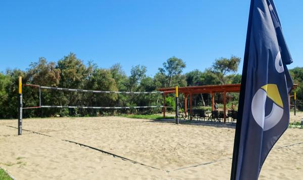 Auf zum Beach-Volleyball