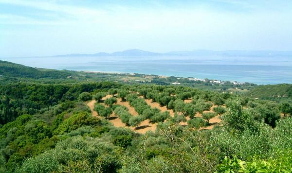 Landschaft um den Kyllini Beach