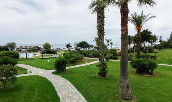 Gartenanlage mit Palmen