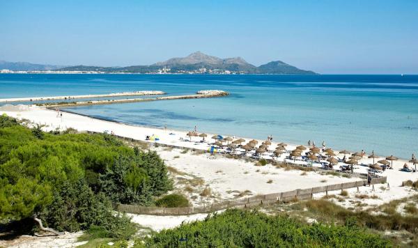 Blick über die Grünanlage auf den Strand