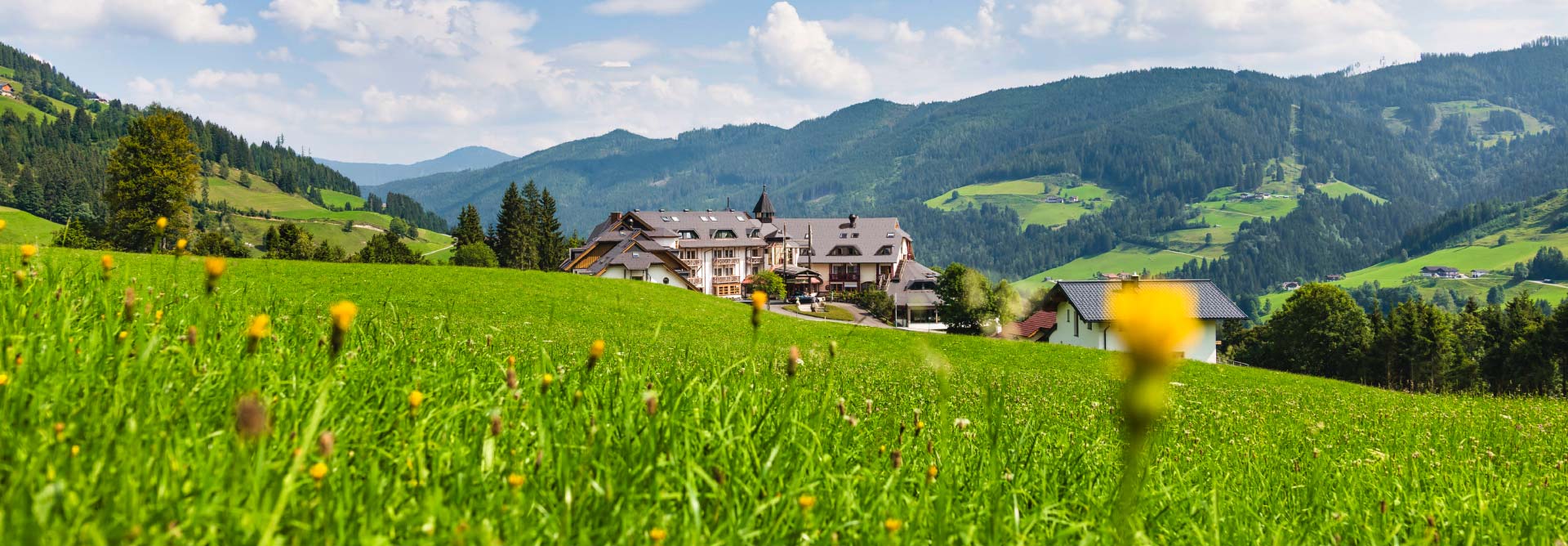 HeaderBild