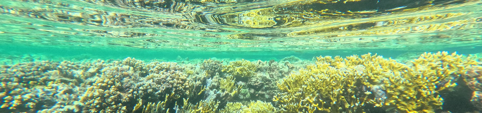 Unterwasserwelt Cluburlaub