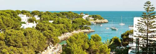 Sentido Fido Tucan - Mallorca
