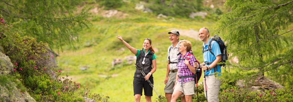 Wandern Schlanitzen Alm