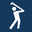 Icon Golf