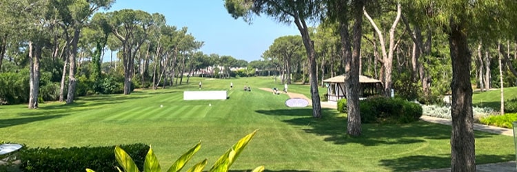 Golf Banner