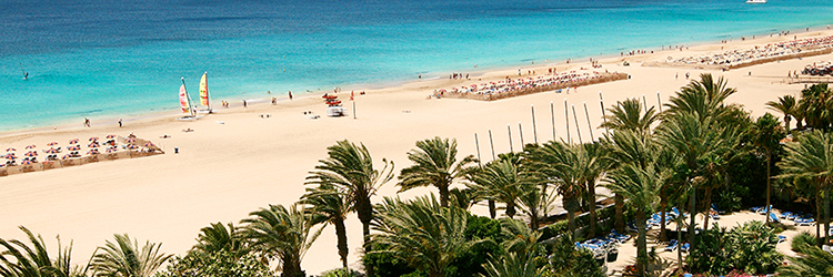 Beste Strandclubs Banner