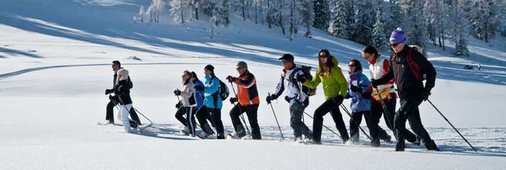 Gruppe beim Ski fahren