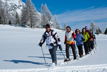 Gruppe beim Langlauf