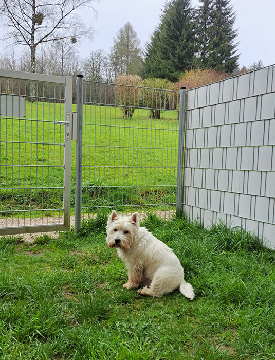 Garten am Zimmer