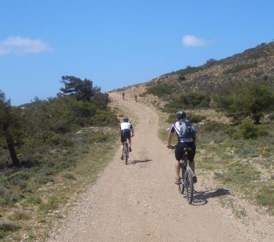 Unterwegs auf dem Trail