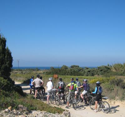 Biken in der Gruppe