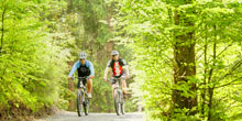 Zwei Radfahrer im Wald