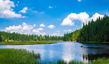 Bild aus der Region Bayerischer Wald