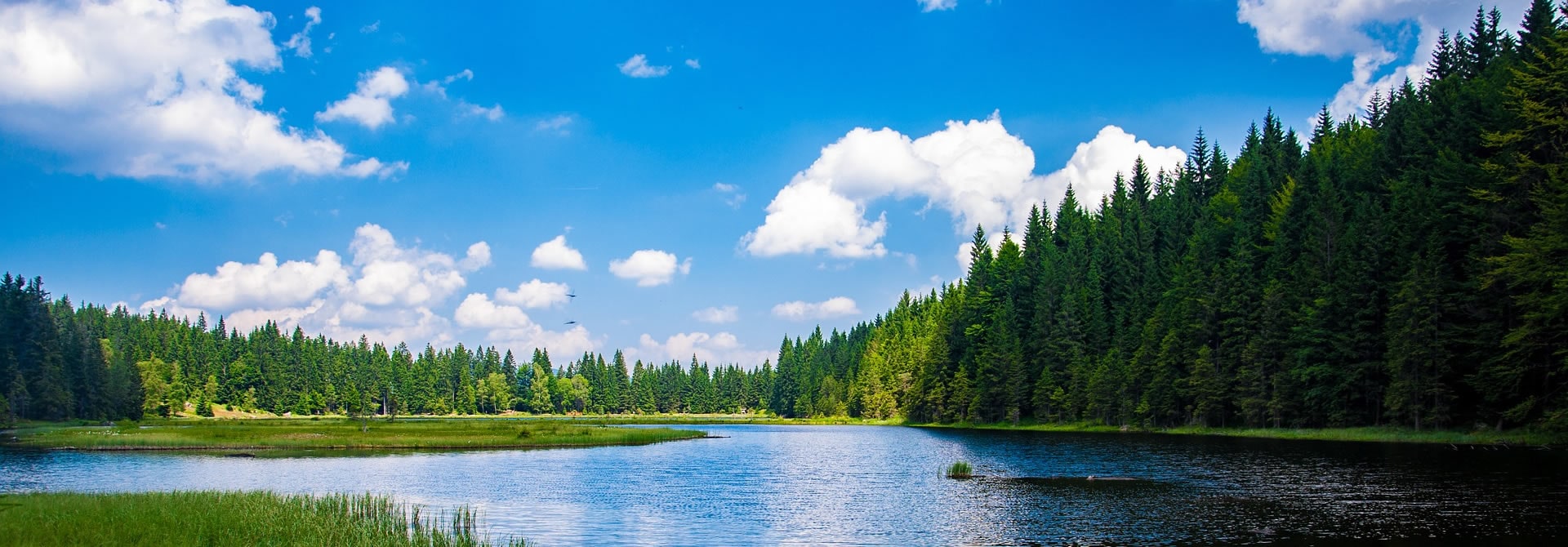HeaderBild