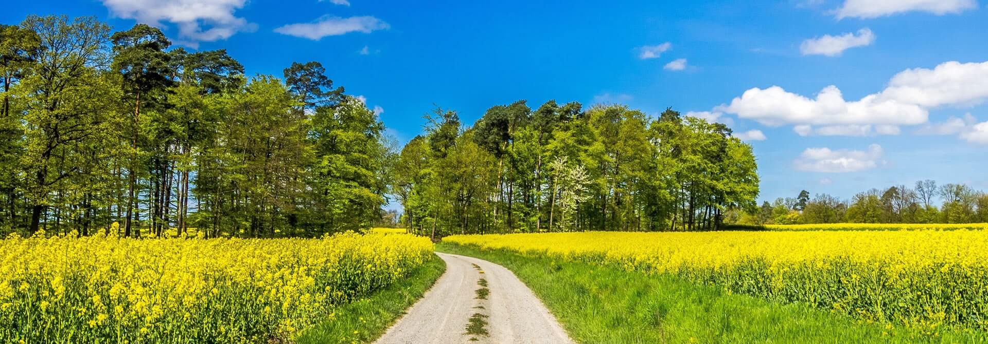 HeaderBild