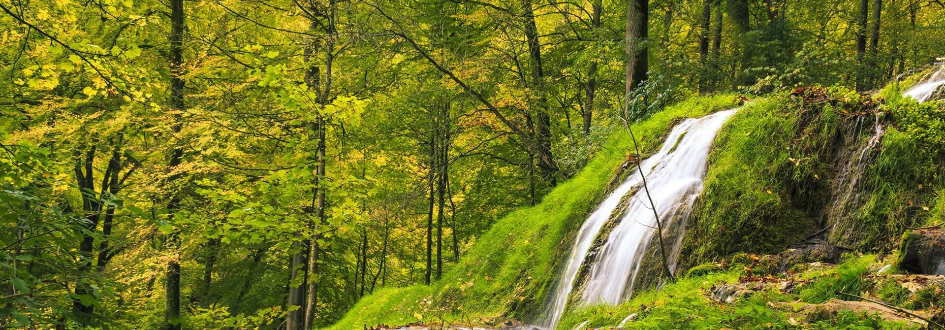 HeaderBild