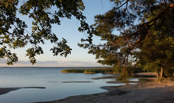 Bild aus der Region Mecklenburgische Seenplatte / Müritz