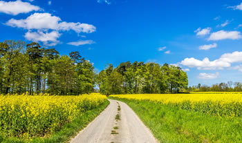 Bild aus der Region Rhön