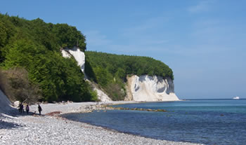 Bild aus der Region Rügen