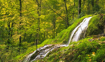 Bild aus der Region Schwäbische Alb