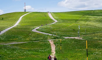 Bild aus der Region Schwarzwald