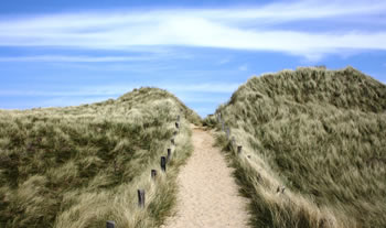 Bild aus der Region Nordseeküste & Inseln