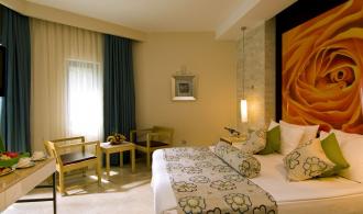 Club Standard Room