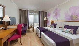 Double Standard Room